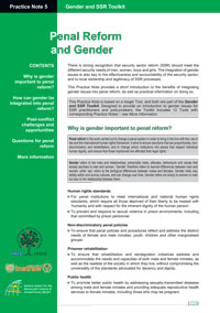 2008 Penal Reform and Gender Practice Note 5
